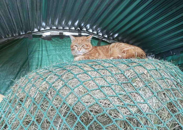 Çiftlik konaklama Beim Schnellerbauer *