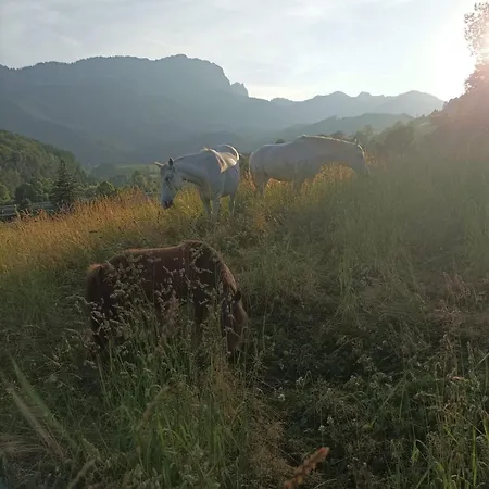 Séjour à la ferme Beim Schnellerbauer Micheldorf in Oberösterreich