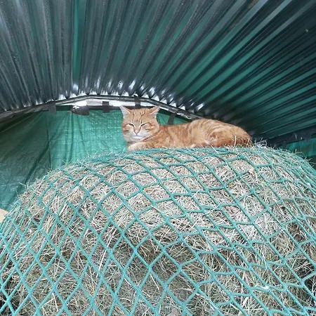 Séjour à la ferme Beim Schnellerbauer *