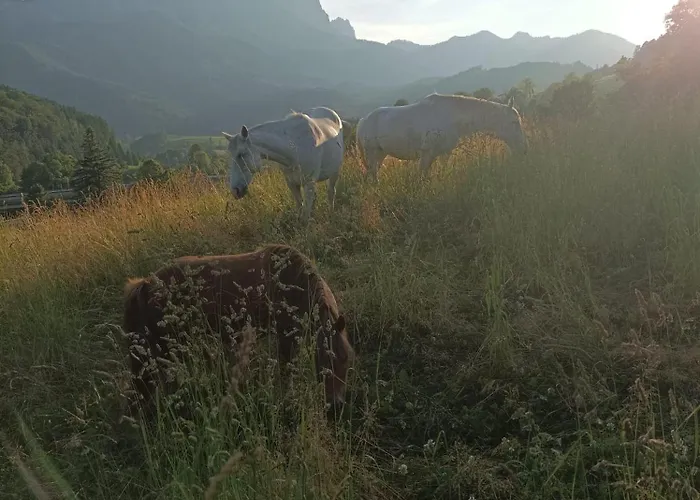 Séjour à la ferme Beim Schnellerbauer Micheldorf in Oberösterreich